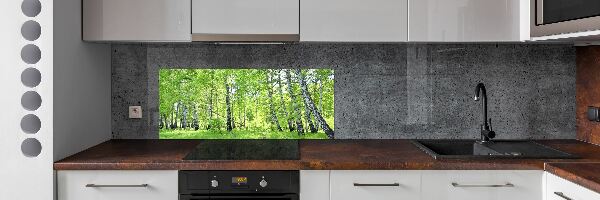 Kitchen splashback Birch forest