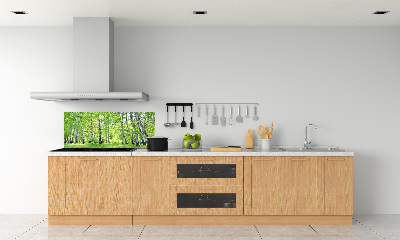 Kitchen splashback Birch forest