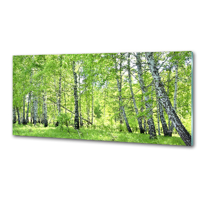 Kitchen splashback Birch forest