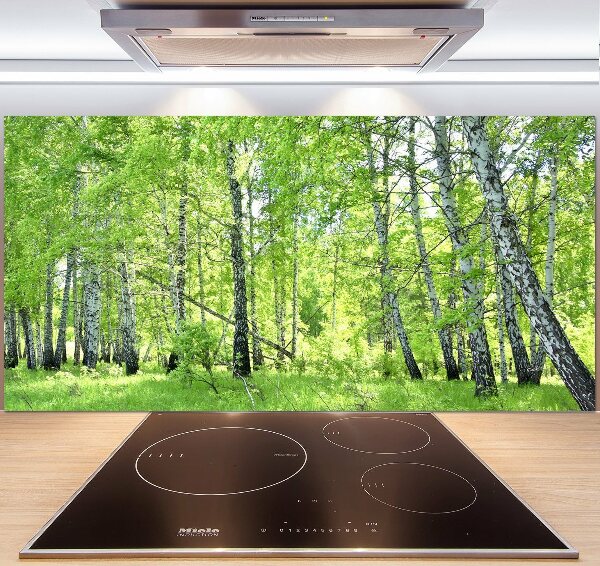 Kitchen splashback Birch forest