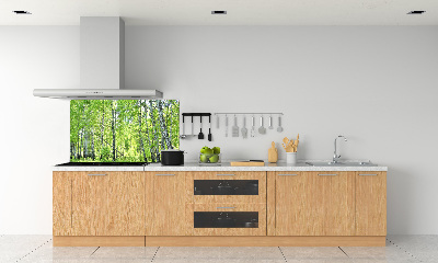 Kitchen splashback Birch forest