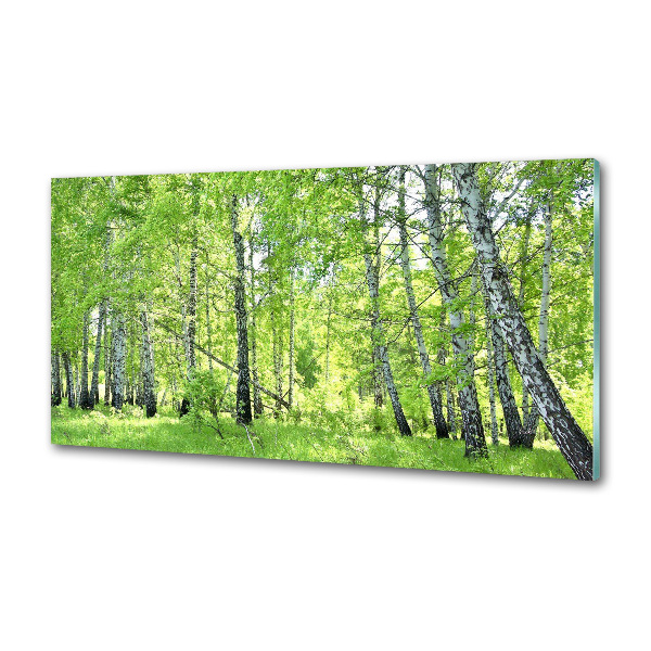 Kitchen splashback Birch forest