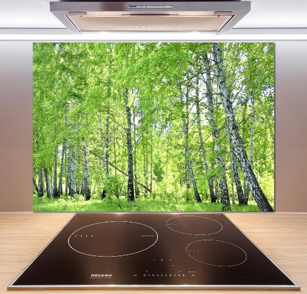 Kitchen splashback Birch forest