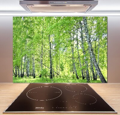 Kitchen splashback Birch forest