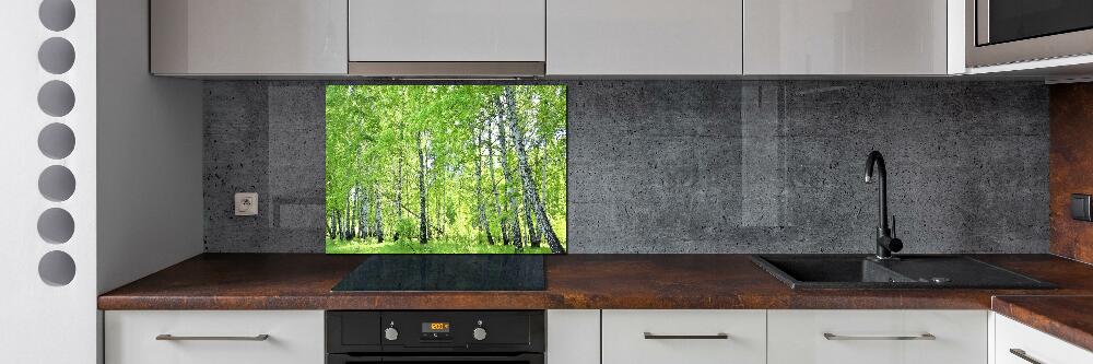 Kitchen splashback Birch forest