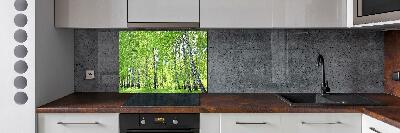 Kitchen splashback Birch forest