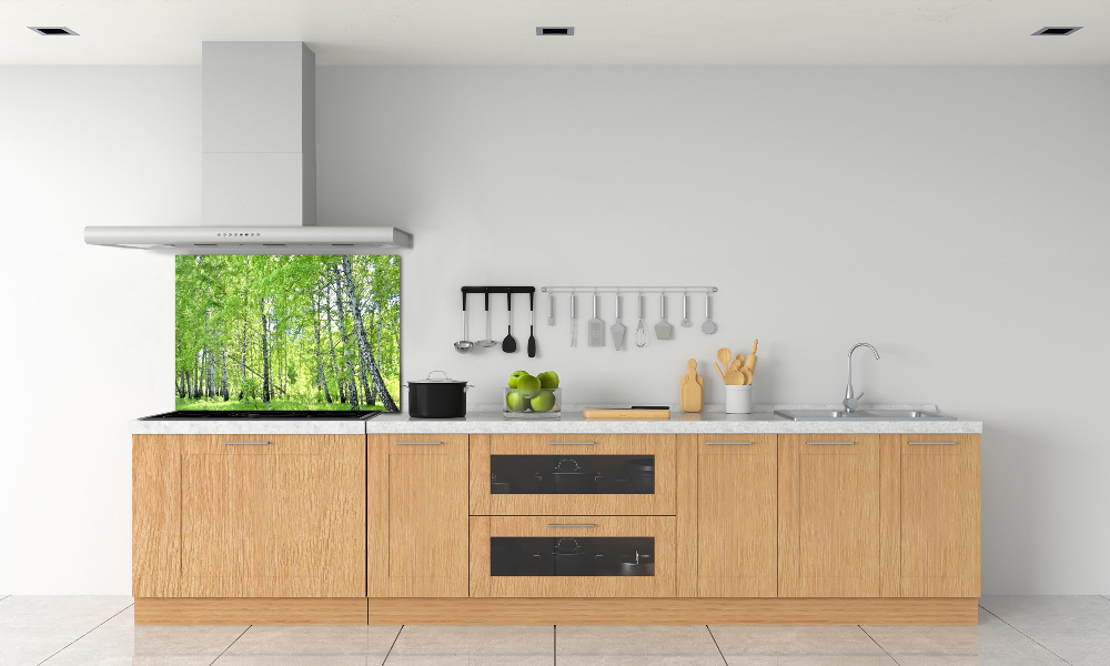 Kitchen splashback Birch forest