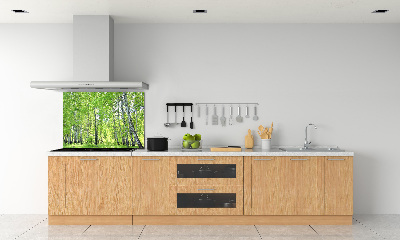 Kitchen splashback Birch forest