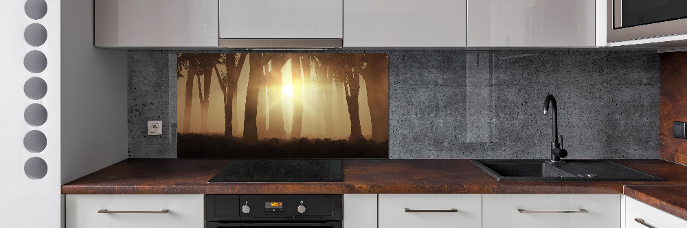 Cooker splashback Fog in the forest