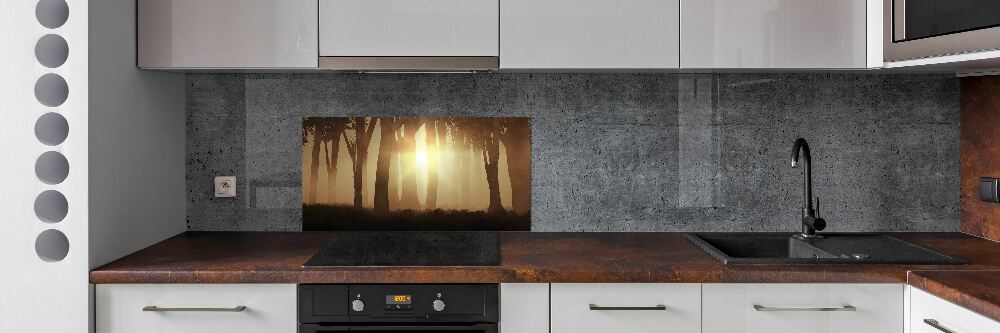 Cooker splashback Fog in the forest