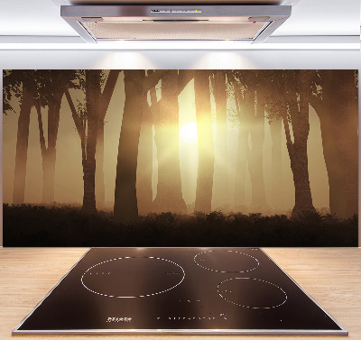 Cooker splashback Fog in the forest