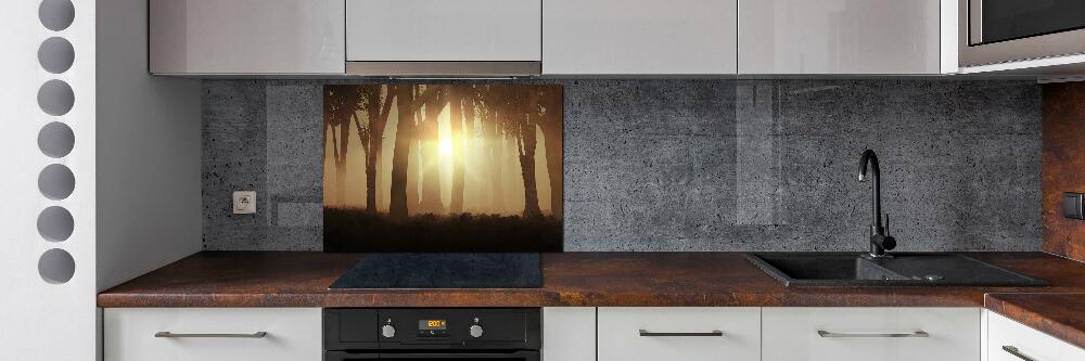 Cooker splashback Fog in the forest