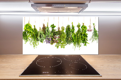 Cooker splashback Herbs on a string