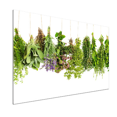 Cooker splashback Herbs on a string