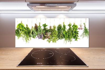 Cooker splashback Herbs on a string