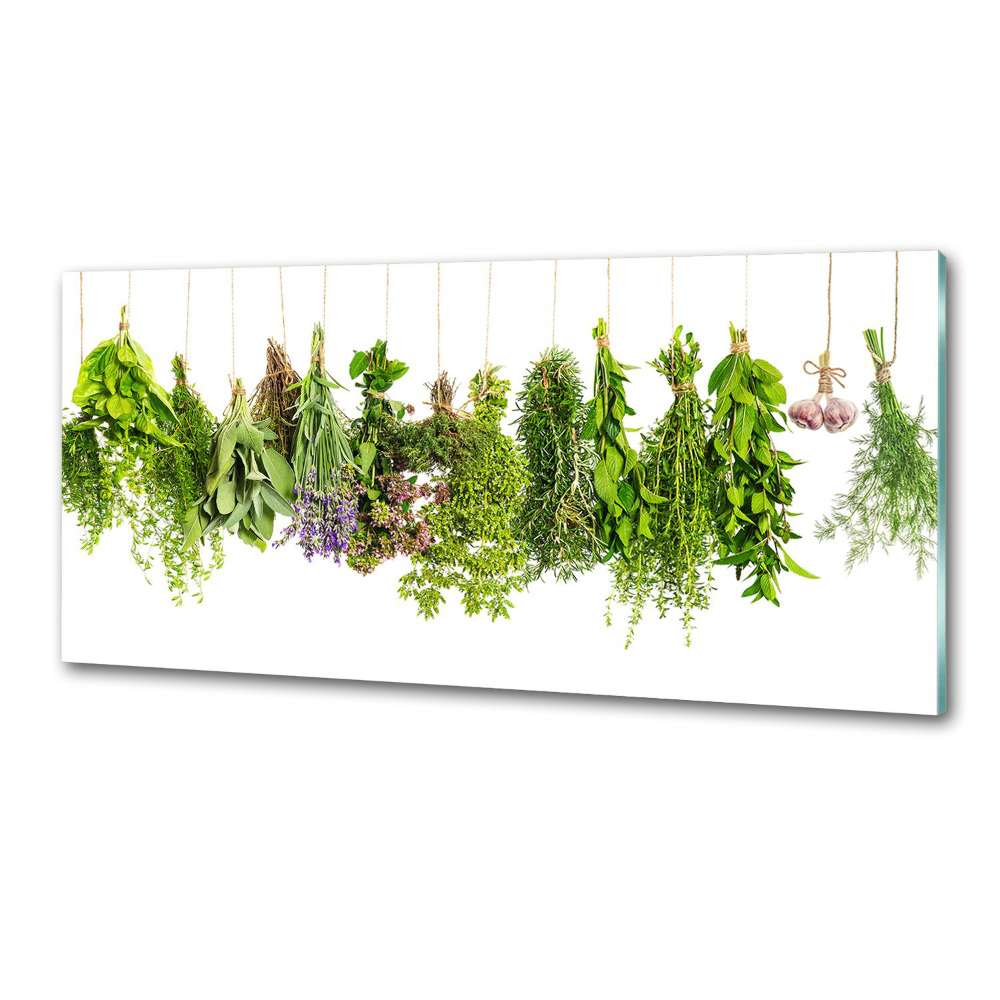 Cooker splashback Herbs on a string