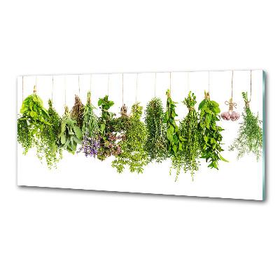 Cooker splashback Herbs on a string