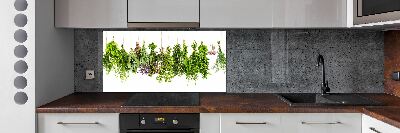 Cooker splashback Herbs on a string