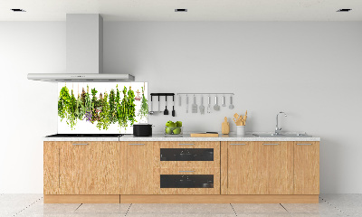 Cooker splashback Herbs on a string