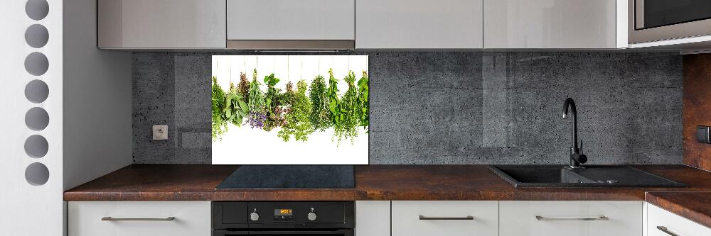 Cooker splashback Herbs on a string