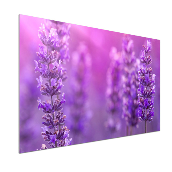 Kitchen splashback Lavender