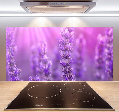 Kitchen splashback Lavender