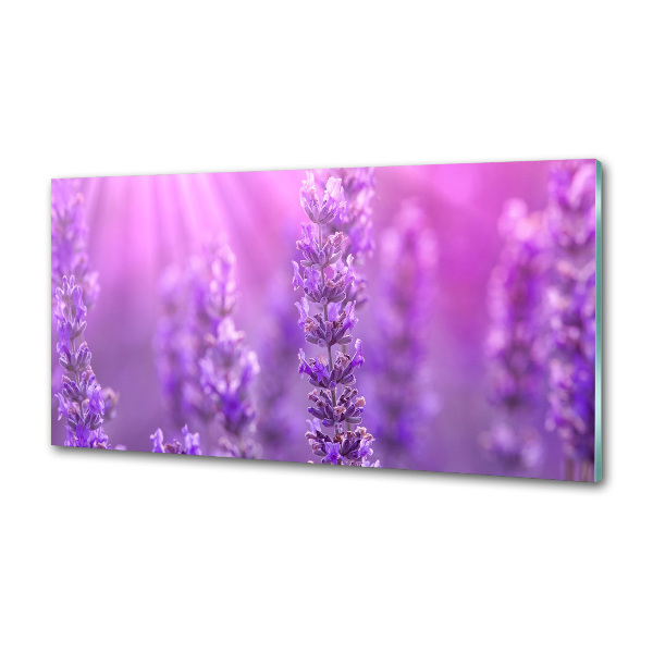 Kitchen splashback Lavender