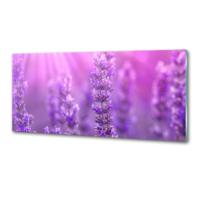 Kitchen splashback Lavender