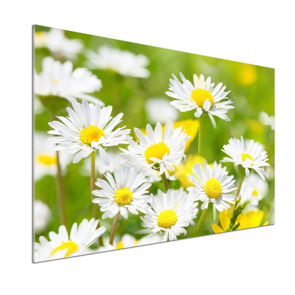 Kitchen splashback Daisy