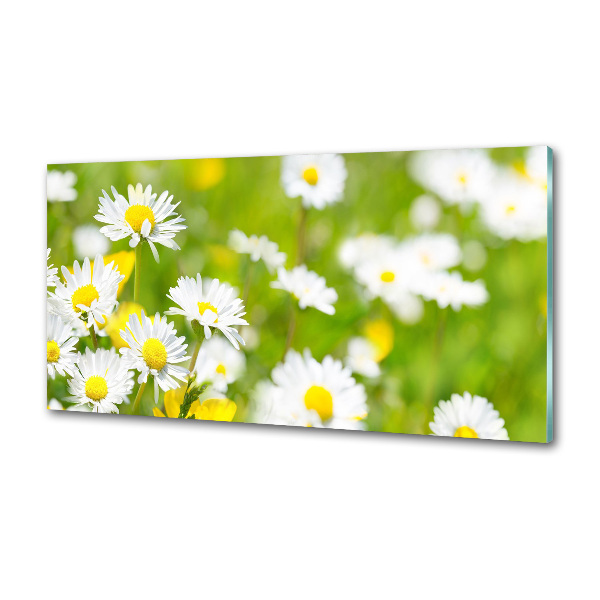 Kitchen splashback Daisy