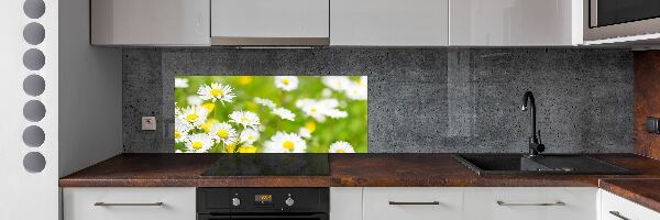 Kitchen splashback Daisy