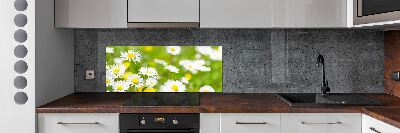 Kitchen splashback Daisy