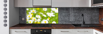 Kitchen splashback Daisy