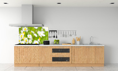 Kitchen splashback Daisy