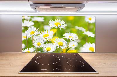 Kitchen splashback Daisy