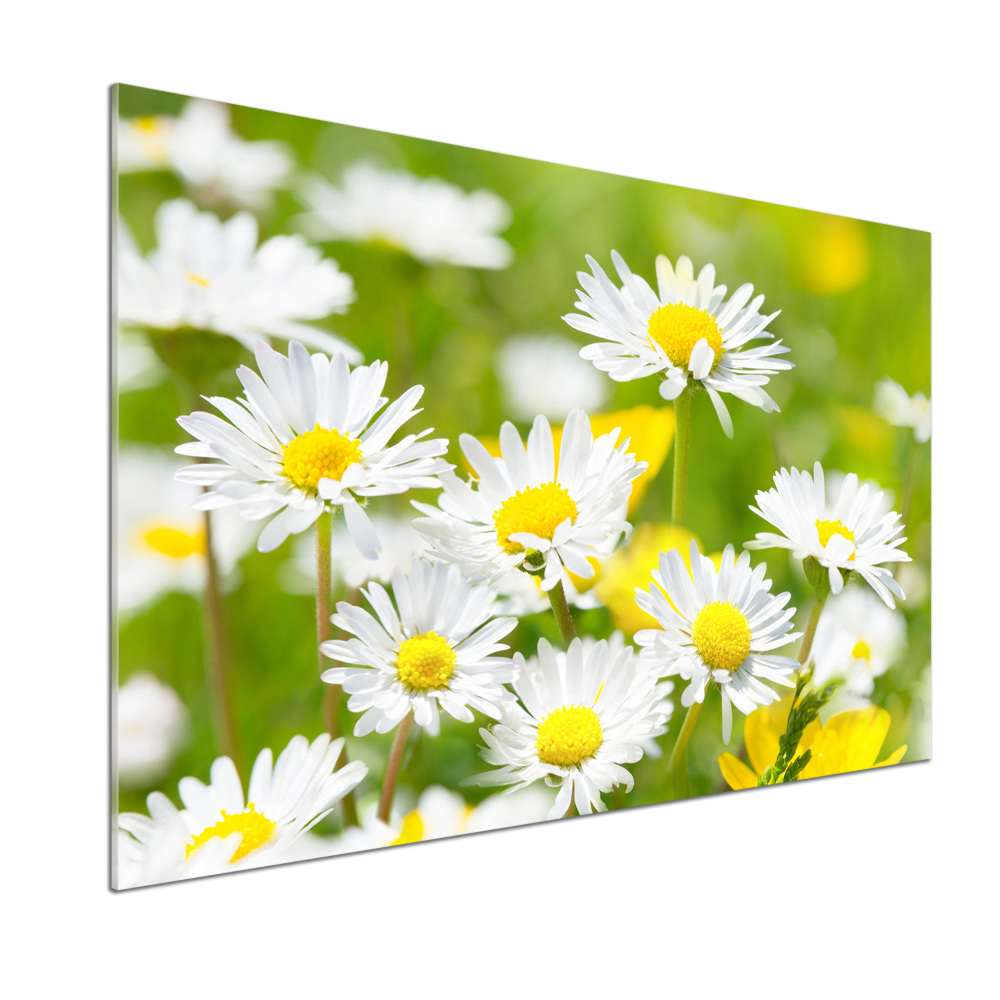 Kitchen splashback Daisy