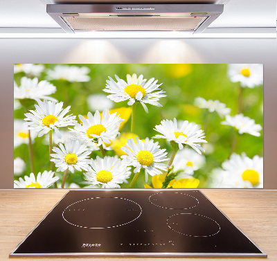 Kitchen splashback Daisy