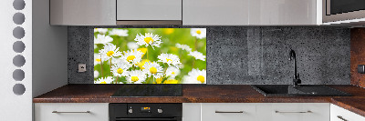 Kitchen splashback Daisy