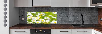 Kitchen splashback Daisy