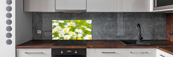 Kitchen splashback Daisy