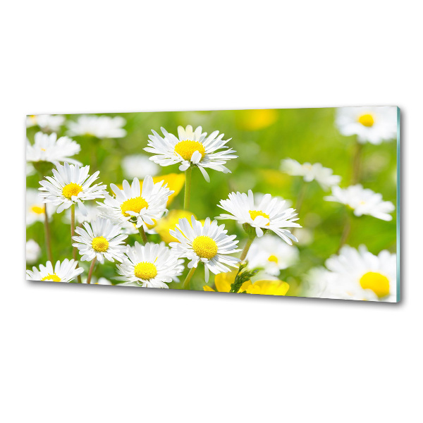 Kitchen splashback Daisy