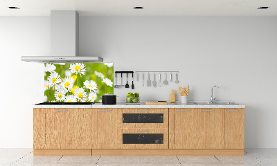 Kitchen splashback Daisy