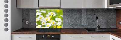 Kitchen splashback Daisy