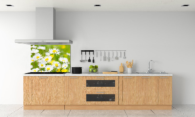 Kitchen splashback Daisy