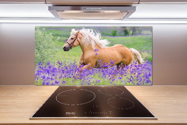 Kitchen splashback Horse in the field of lavender