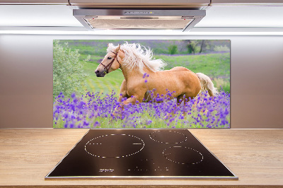 Kitchen splashback Horse in the field of lavender