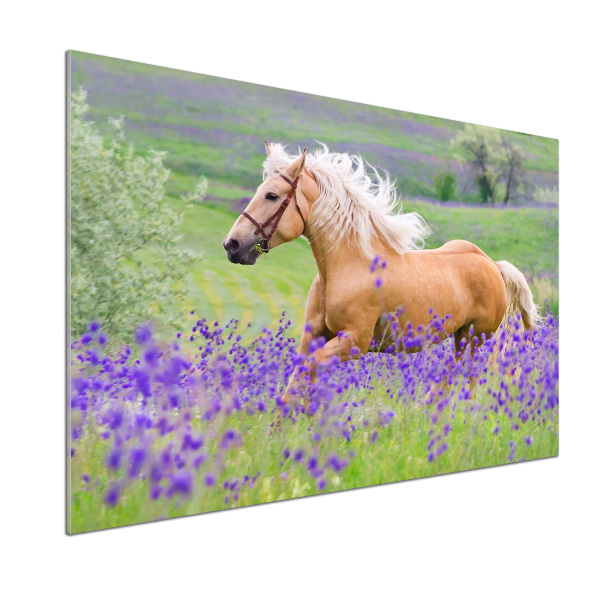 Kitchen splashback Horse in the field of lavender