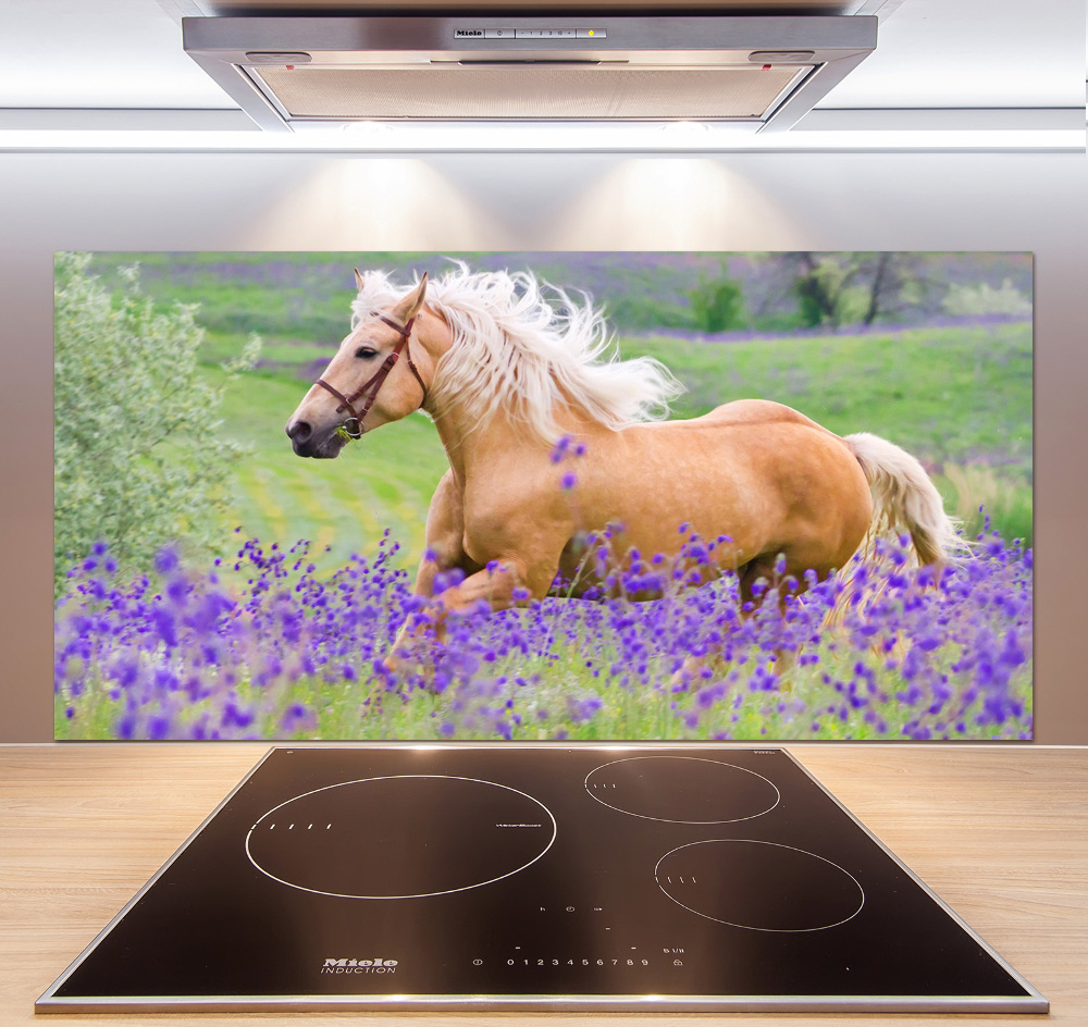 Kitchen splashback Horse in the field of lavender