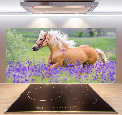 Kitchen splashback Horse in the field of lavender