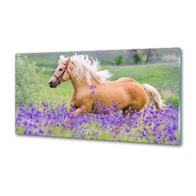 Kitchen splashback Horse in the field of lavender